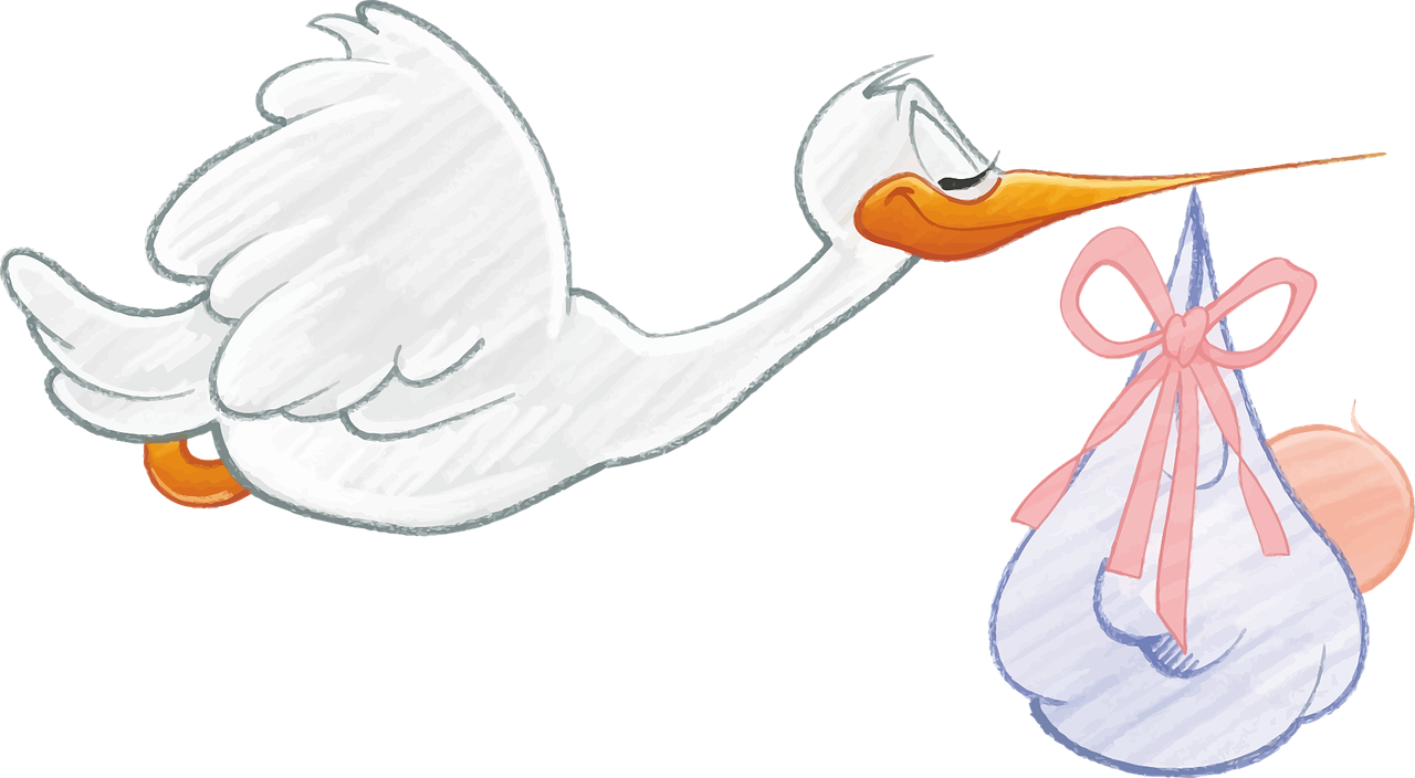 stork delivering a babyy-image